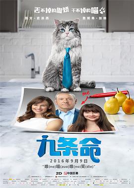作为2021年暑期最受期待的动画电影，《巧虎魔法岛历险记》凭借可爱软萌的角色形象、欢乐与感动交织的冒险故事，收割大人和 反法西斯战争胜利78周年!